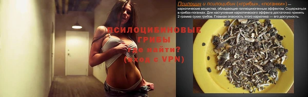 дурь Алексеевка