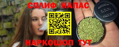 mdpv Белореченск